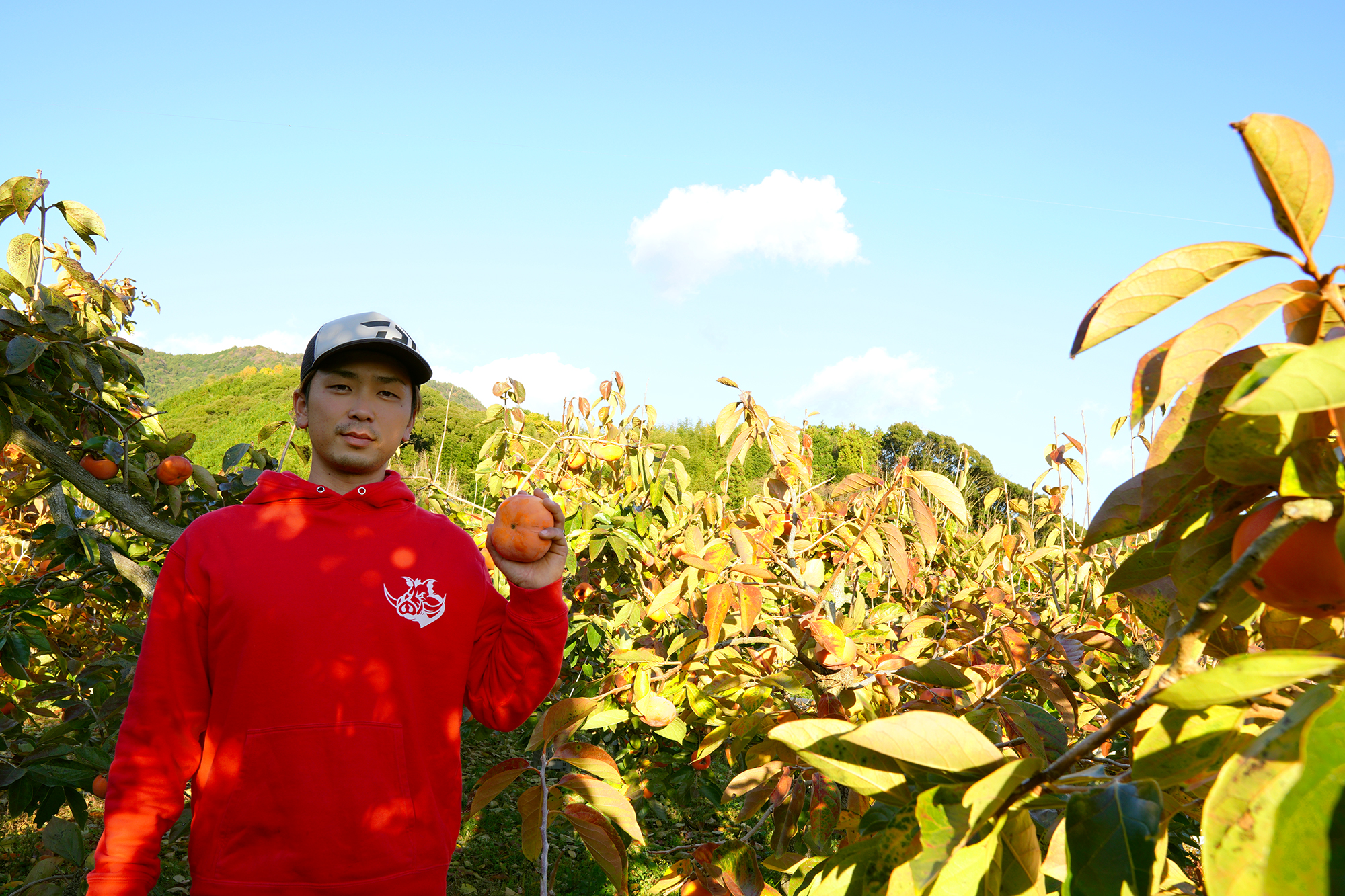 宇和島市柿原柿　YAMAICHI FARM